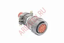 2РМ22КПН10Г1В1 розетка фото